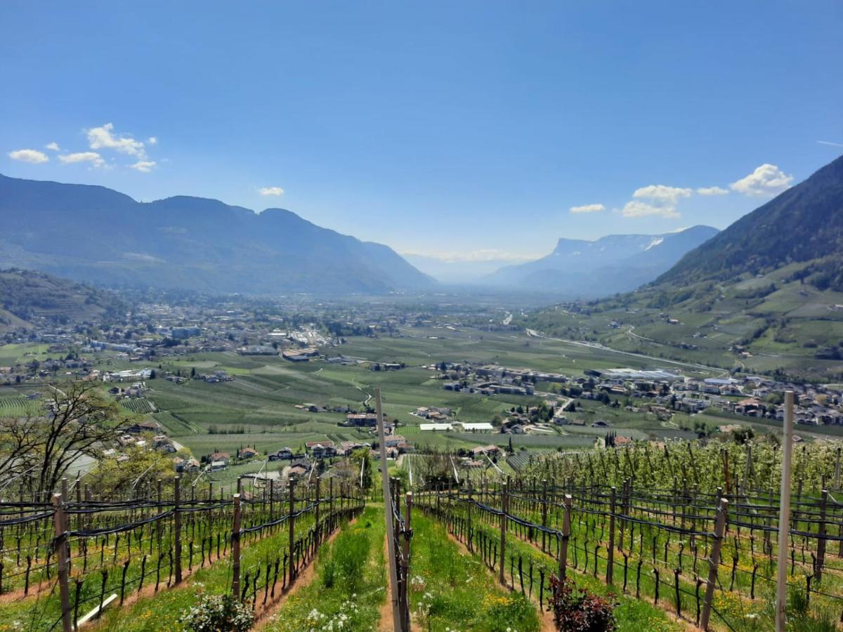 Unteroetzbauerhof - Fewo Weinberg Tirolo Esterno foto